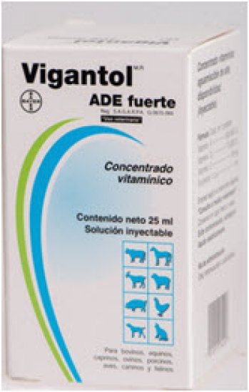 Vigantol ADE Fuerte Thiamine Hydrochloride, Nicotinamide, Pyridoxine Hydrochloride â€“ Bayer 25ml
